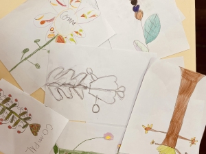 Analise das propostas apresentadas pelos alunos para a elaboração da flor.