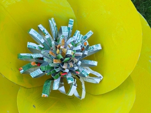 A nossa linda flor amarela