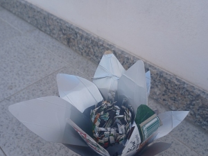 Pormenor Tetra Pak enquadrada na flor.