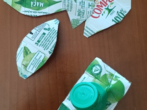 pétalas da flor