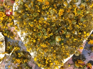 Colheita flores amarelas campestres sazonais, dentes-de leão, colagem sobre embalagens tetrapack
