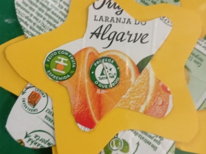 detalhe da flor
