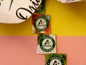 Detalhe dos selos tetra Pak (caule da flor).